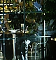 Filename=SM04.jpg
Filesize=986KB
Dimensions=1342x1600
Date added=Aug 17, 2008 SM04.jpg